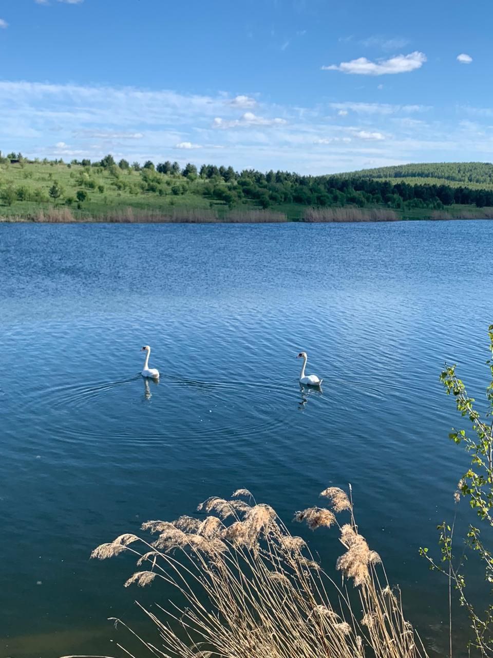 Заголовок